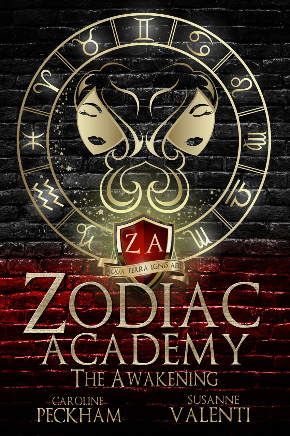 Zodiac Academy | Complete series bundle
