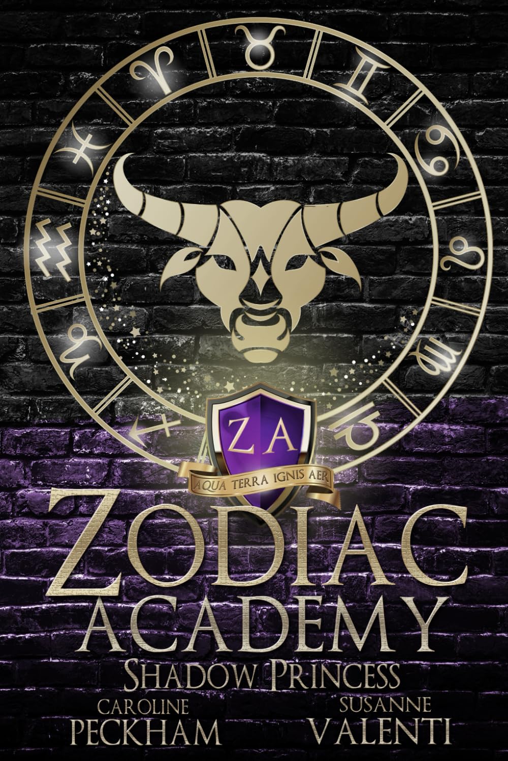 Zodiac Academy | Complete series bundle