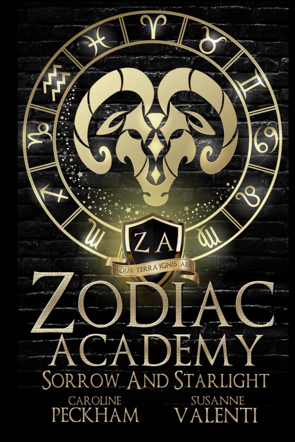 Sorrow and Starlight | Zodiac Academy #8