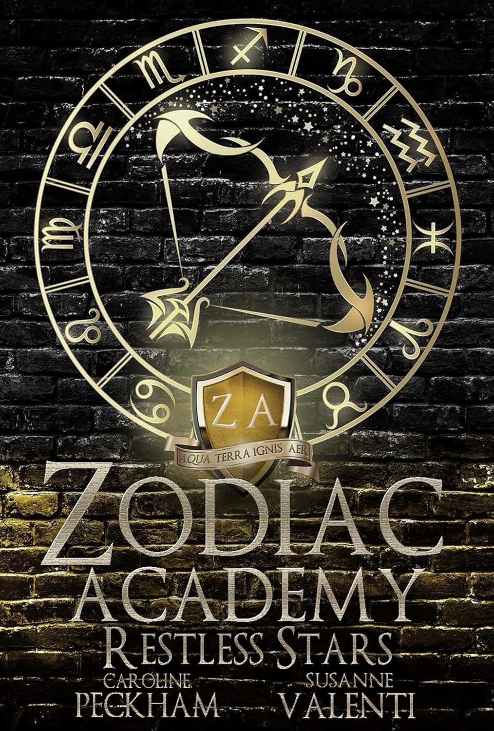 Zodiac Academy | Complete series bundle