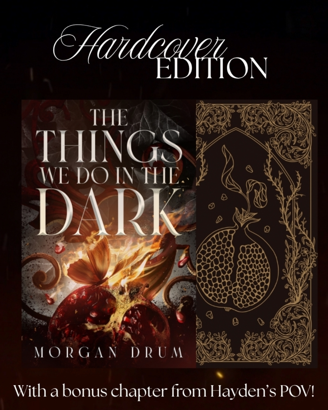 The Things We Do in the Dark | The Things We Do in the Dark Duology #1