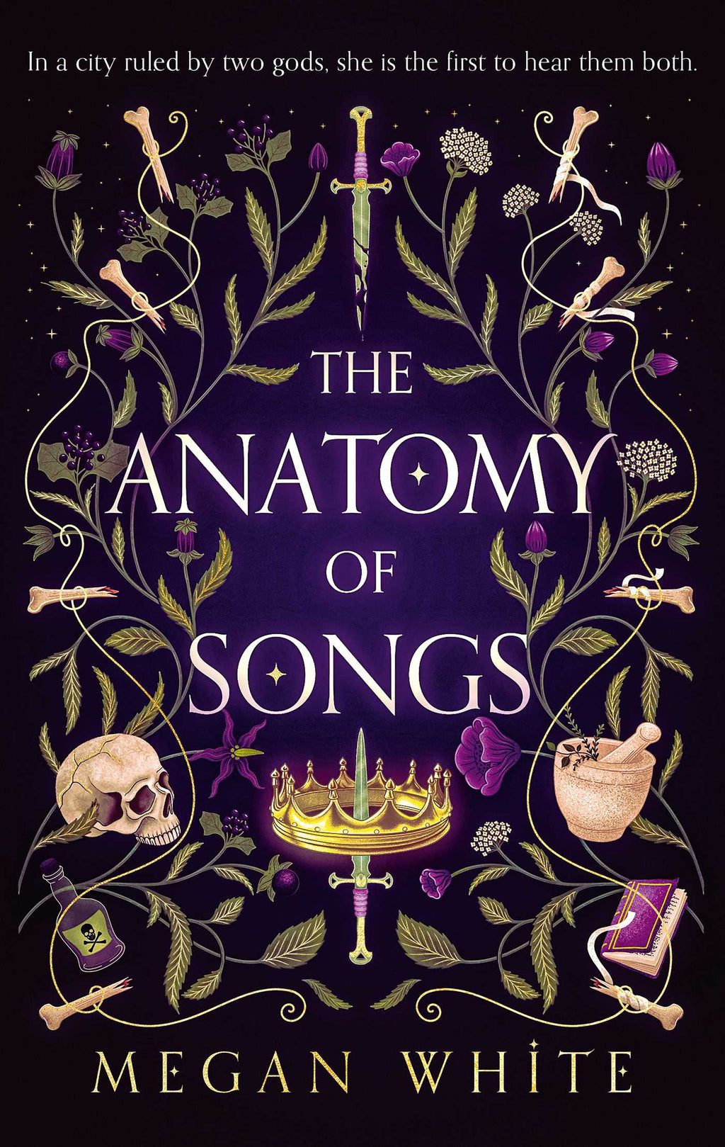 The Anatomy Duet | Complete series bundle